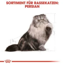 ROYAL CANIN Persian Adult 10 Kg -Katzenbedarfs geschäft 9165cac29a72299b97dae8a447d82fe7420a785a d15d6f63a0146aa9aad91fbc1d1013d7e48a8bed