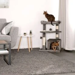 Lionto Kratzbaum, Höhe 75 Cm Dunkelgrau -Katzenbedarfs geschäft 93538dd92015274a424fbe418a728d711bf35ee4 1657050 de DE cdf2aedfa5f00533ccf45fdd95fec703142abcfaEAr6hi