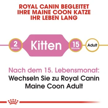 ROYAL CANIN Maine Coon Kitten 4 Kg 7 ROYAL CANIN Maine Coon Kitten 4 Kg – Bild 5