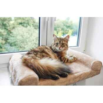 Kerbl Fensterliegebrett 4 Kerbl Fensterliegebrett – Bild 2