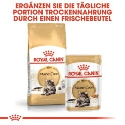 ROYAL CANIN Maine Coon 12x85g -Katzenbedarfs geschäft 98a6b1fde98d85d644b159a3ec5257e7ab116b9d 1229815 de DE rc 4