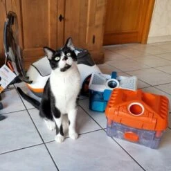 THOMAS Staubsauger 19 THOMAS Staubsauger -Katzenbedarfs geschäft 9c1c711bdc998f487ed8c24bc96dc66adbb9a8a0 1406733 de DE c0788b12d8ca7e012c5c5d1a7cf9568fa3623544LvViH7