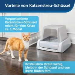 PetSafe ScoopFree Katzentoilette, Haube -Katzenbedarfs geschäft 9f53ca90b171b847d777a219cd590baeb64c7e15 1368110 de DE be1af9fc2226731c8a8ce64e8c71ecd612a085e0SNiC7j