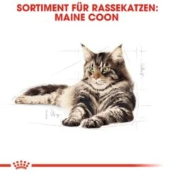 ROYAL CANIN Maine Coon 12x85g -Katzenbedarfs geschäft a5125a261db08921e9cf46ebc8fabd7e8cbf5fac 1229815 de DE rc 2