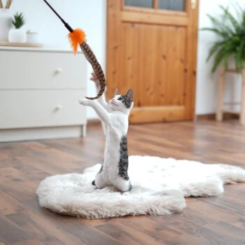 Schlitzohr Federwedel Birdy 3er Pack 5 Schlitzohr Federwedel Birdy 3er Pack – Bild 3