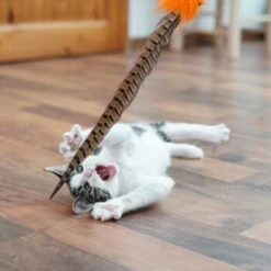 Schlitzohr Federwedel Birdy 3er Pack 17 Schlitzohr Federwedel Birdy 3er Pack -Katzenbedarfs geschäft b2468018bd2b888c11ee64154d86732de60c7830 1659562 de DE 7d36675a42a956412d003b03e1f072b0ae0379063UsHBd