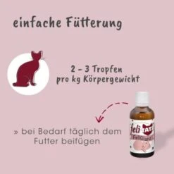 FeliTATZ FellGlanz -Katzenbedarfs geschäft b2b15a4a3a4132d0eb927fc873e9c67269216776 1666313 de DE f75d5f776d34130f22a10386ffeb9f27ffafade7FMX46s