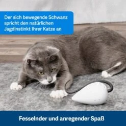 PetSafe Automatisches Katzenspielzeug RoloRat -Katzenbedarfs geschäft b65e953878b463eb5125c940634b84e8b7c79a3f 1351522 de DE 3daf7dbb27d01ce7d63f06677a32dd6cde28abb9X2tLJP