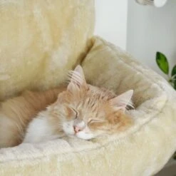 Schlitzohr Heizungsliege Lucky Beige -Katzenbedarfs geschäft bdc02033928d033279e49ebefe91371e629dfd2f 1484673 de DE 4daf09016934a9074c92f48c173e840fa6385a4agwWEjb