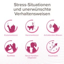 Beaphar CatComfort Excellence Starter-Kit 48ml 16 Beaphar CatComfort Excellence Starter-Kit 48ml -Katzenbedarfs geschäft c5acac2221a0b2cf3e7346d9f61b6606812afde8 1416646 1 1
