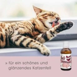 FeliTATZ FellGlanz -Katzenbedarfs geschäft c632389ff5554b3f77a4c07b5dcd4d35f428a2c1 1666313 de DE aef5012fb4dd575d53ef4492b6faf7c4f11752ddfl85CX