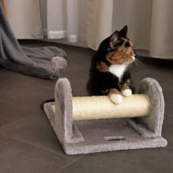 Lionto Kleiner Katzenkratzbaum, Kratzbrett -Katzenbedarfs geschäft c6622dac82a853658227224e12019ecd66f54a69 1657001 de DE 6752f224ea90c720ed56adf47d756afd07962195JfumAM