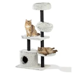 Silvio Design Katzenbaum Lia -Katzenbedarfs geschäft c81df2c7cf1859fad171491105b6c7f17ec56689 ca032ae2d9d19e79be2dadb05575650e9b4d0ebe