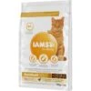 IAMS Vitality Adult Hairball Huhn 10 Kg 1 IAMS Vitality Adult Hairball Huhn 10 Kg -Katzenbedarfs geschäft c93a50adcd82a8fd4a24f79466884cab2c8301d1 38df729b88aaafd035b3e61d18fd474ce576a5b9