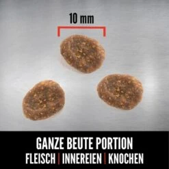 Orijen Six Fish Cat 1,8 Kg -Katzenbedarfs geschäft cafd9eed34caceae0ddd2734682e0d592d2328e0 1261001 de DE ORI Six Fish Cat Carousel 2000x2000 DE2 3