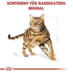 ROYAL CANIN Bengal Adult 10 Kg -Katzenbedarfs geschäft cb3c9b745b0cf6e86ca2308b544461de43105143 e7122eb5a9e8a316aad32423edb5418ecd6d24cd