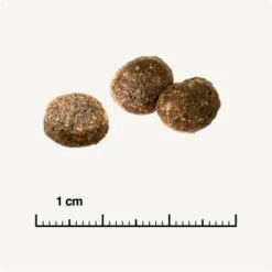 REAL NATURE WILDERNESS Adult Probierpaket Mixpaket 1, Mix-Pack -Katzenbedarfs geschäft d13ec079dfc733868201f90c68c1160fb8a8b3ec 1267094 de DE 6