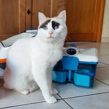 THOMAS Staubsauger 6 THOMAS Staubsauger – Bild 4