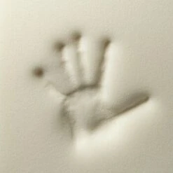 Rexproduct ORI Orthopädische Matratze Dunkelgrün S 11 Rexproduct ORI Orthopädische Matratze Dunkelgrün S -Katzenbedarfs geschäft d89d5b6f50430f96eb3dfe0b37377735b0ca4870 1478508 de DE 4a05f204198aead29f7c6fcb2b828fd649f99213W8zvJB