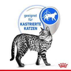 ROYAL CANIN Indoor Sterilised 12x85g In Gelee -Katzenbedarfs geschäft e0f30f9a28c4a2b10156c12b92347b4c5a9b1e23 8c952aa18fe09440ca4c62569fbc775fe9fd6239
