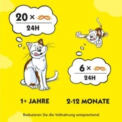 Dreamies Snack-Vielfalt 12x60g -Katzenbedarfs geschäft e1b190f4f53100ff83c0fb6481ba747fb1f78bad 1297459 2