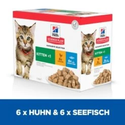 Hill's Science Plan Kitten Multipack Mit Huhn Und Seefisch 12x85 G 14 Hill's Science Plan Kitten Multipack Mit Huhn Und Seefisch 12x85 G -Katzenbedarfs geschäft e35e003d7953d268e4d7faa01f4ebc88bd9f0d6b 52742211503 3