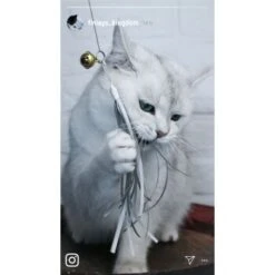 Kater Kasimir Premium Katzenangel Mit 4 Handgemachten Anhängern Aus Naturmaterial -Katzenbedarfs geschäft e6fe48d27b82d48675d665ee2a143e3c11de2fd9 1408150 de DE b29a5f7f2530ce6388e16e2600369d70b2ec0350kYn6B8