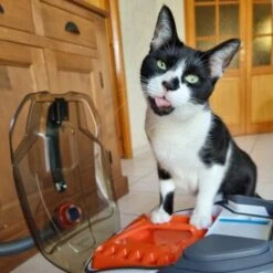 THOMAS Staubsauger 18 THOMAS Staubsauger -Katzenbedarfs geschäft e924a64d06d1776c60effa6ed643bd7a6c20fdca 1406733 de DE 08e20bea72feee79416abcd48fd6e6a61e2fc6eav4kQrJ