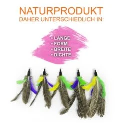 Schlitzohr Katzenangel Federanhänger 5x -Katzenbedarfs geschäft f6a96b93601c3b2f6f7420ade3ecfe56542cca74 1484675 de DE b1d2fd29ad67016b9a6af908251d348edfa467f2BG8aWR