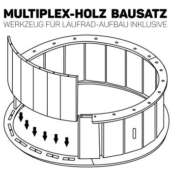 Canadian Cat Company Katzenlaufrad Aus Holz XL Schwarz 12 Canadian Cat Company Katzenlaufrad Aus Holz XL Schwarz – Bild 10