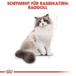 ROYAL CANIN Ragdoll Adult 10 Kg -Katzenbedarfs geschäft f8b811f9eab7202e49f7b235d6a595fa348bbbaf bb5e5e0f36d3d37fdca6dd70ac412f733832df15