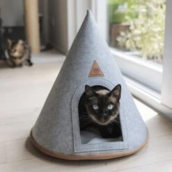 Canadian Cat Company Katzenzelt Cone -Katzenbedarfs geschäft fa239152197bcd10041c1bd61123d257def32ae2 1394210 de DE 3951d67dae348361ee92f951805989eba06329e0M51qDv