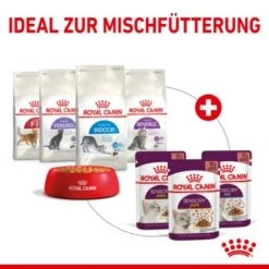 ROYAL CANIN SENSORY Feel In Soße Für Wählerische Katzen 12x85g -Katzenbedarfs geschäft fb0210c69e5e3e0c4d482614a5149e425b2ae562 76a6c72eee9ff76230a512b60a5a19dc127015ff
